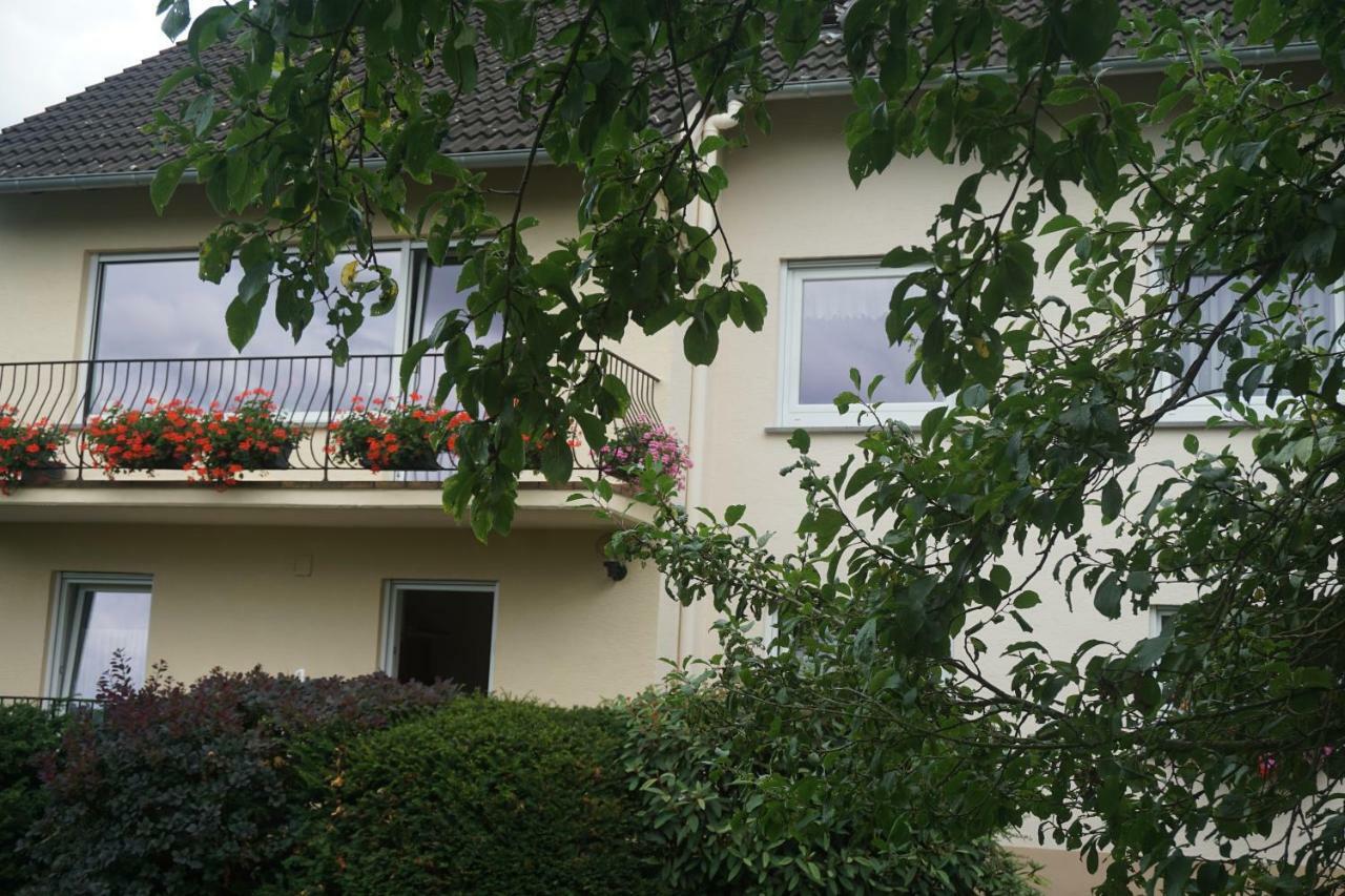 Fewo Goebel Beethovenstrasse Cochem Exteriör bild